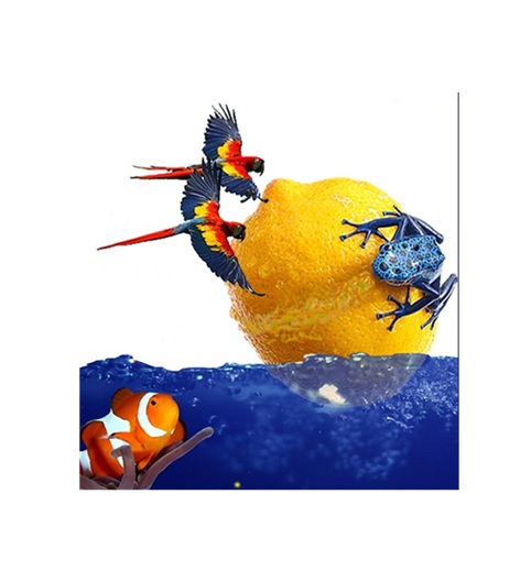 COPIA-DE-TARJETA-AZUL87X57-2_crop